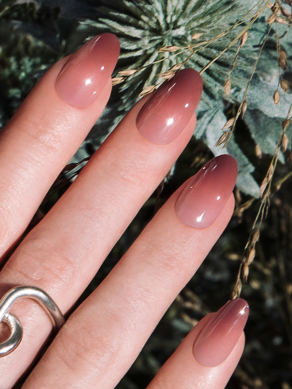 Chilli Ombre (Oval)