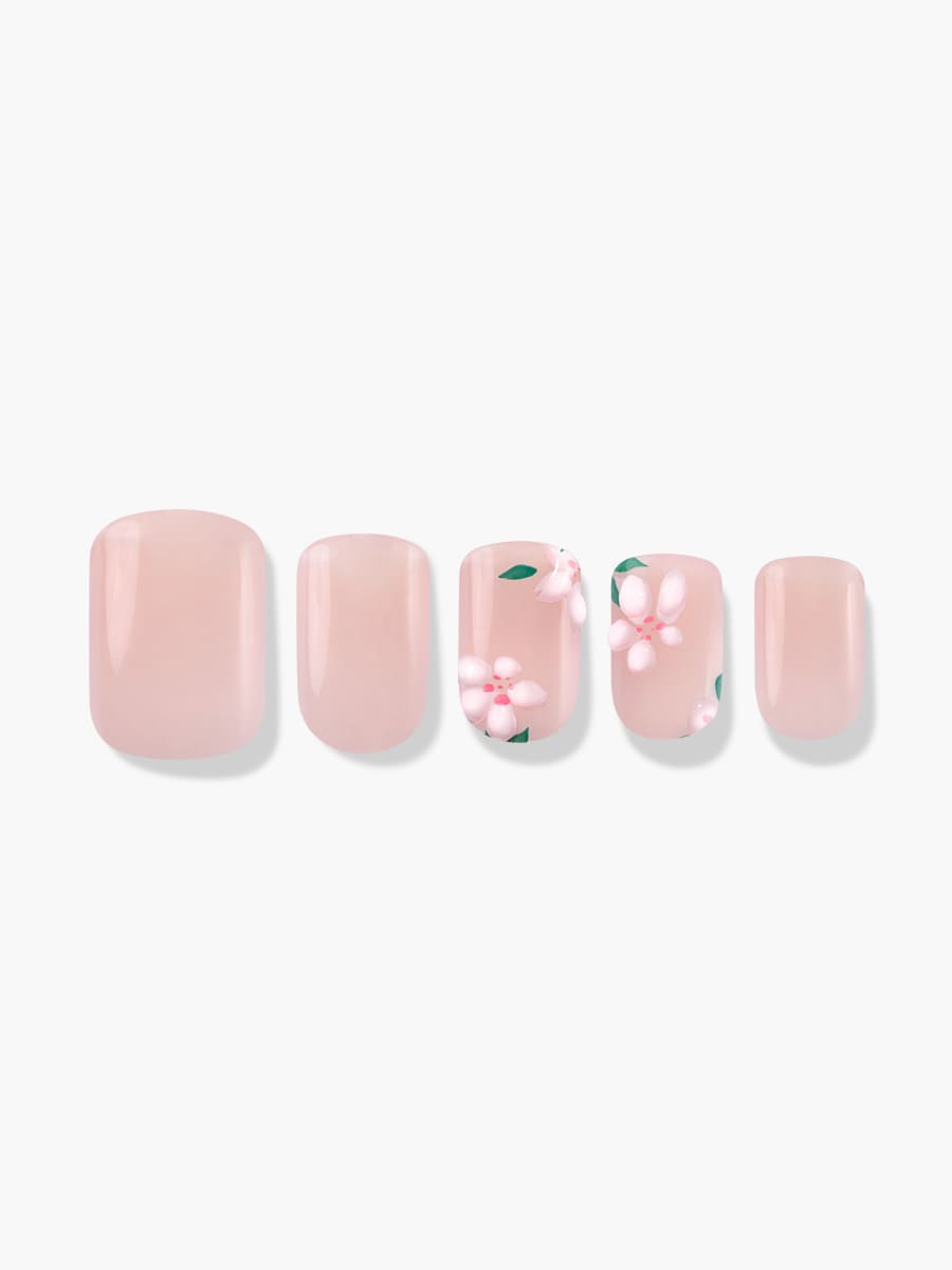 Blossom