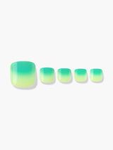 Melon