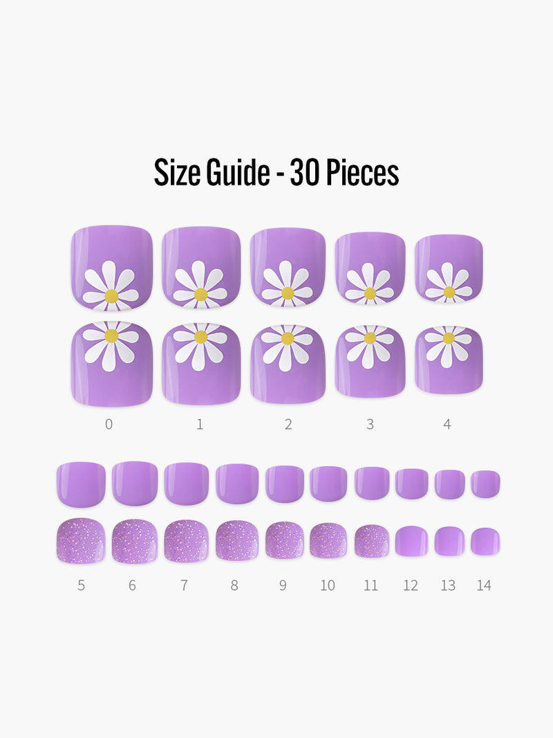 Purple Daisy